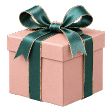 Gift icon